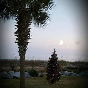 Meet your Posher, Shelly